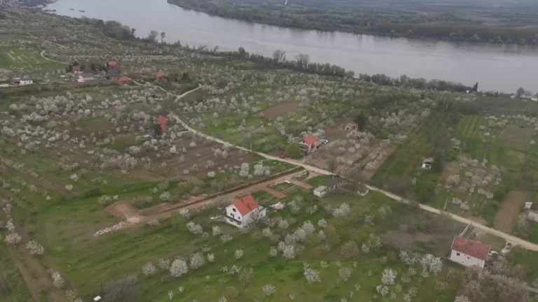 dji 20250106191134 0006 d8