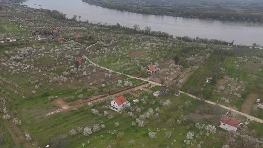 dji 20250106191134 0006 d8